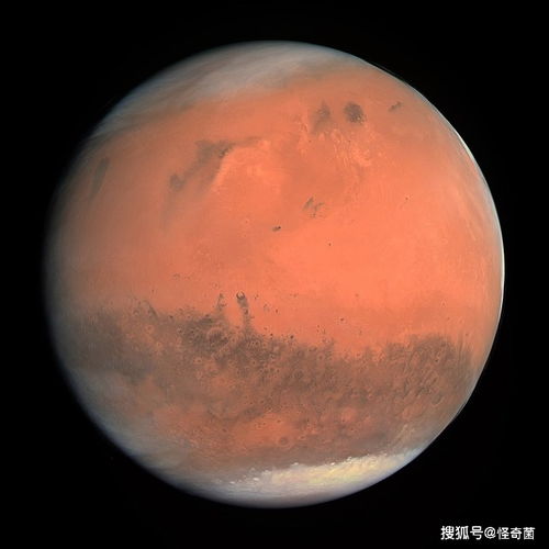 算命人如何看待火星金牛在爱情中的独特态度和价值观？
