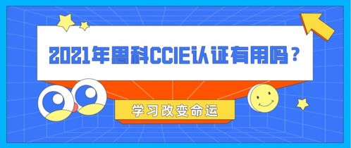 用星座来算算：谁才是CCIE的天然之子？