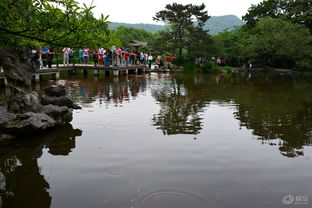 一、 晨曦里的西湖，像一幅被轻轻揉搓的油画