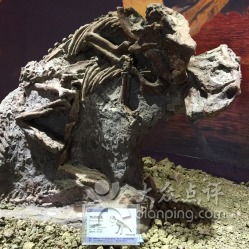 一、 朝阳化石谷：亿年历史持续发展的见证者
