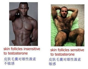 1、 胡须整洁漂亮，多福多寿——那是天选之子