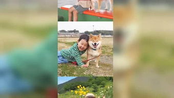 阿鹿孤姓男宝宝起名：好记又响亮的名字推荐