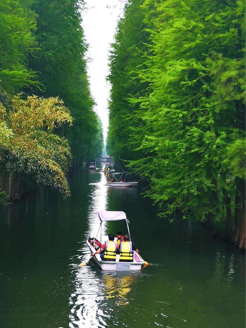 **02 道沟**：奇峰异石， 天然景观