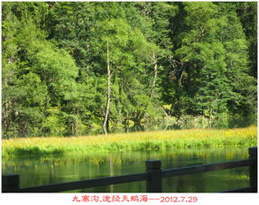 交通攻略——怎么去才不会迷路？（废话连篇）