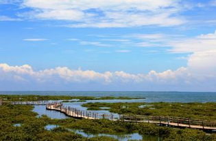 北海渔村 - 最地道的海鲜体验