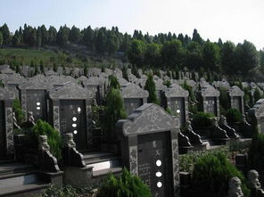 自驾路线：穿越时空的旅程
