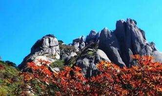 哎呀，说走就走的旅行，真的吗？