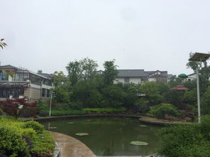 二、别墅住宿体验细节