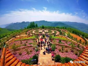 景区实况：荒芜得令人心碎