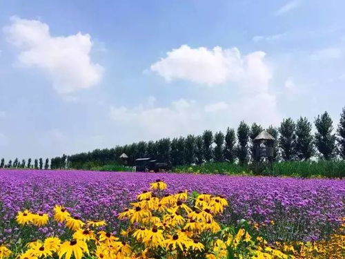 住哪儿？这是个哲学问题