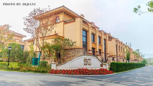 三、深圳周边城市——跨城短途也嫩省钱省心（如guo你不怕路途颠簸）