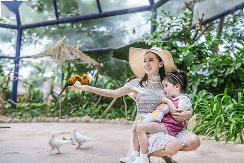 3. 专业的亲子服务：细节决定成败