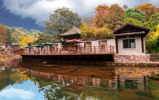 1. 景区门票采购