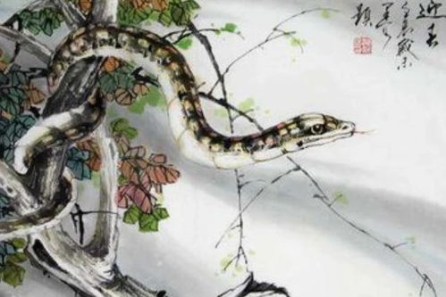 第一招：全身上下一片红(但这招也有讲究)