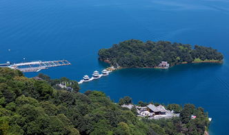 2. 万绿湖——华南地区最较大生态宝藏