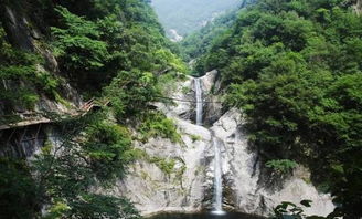 通天峡の套路大全