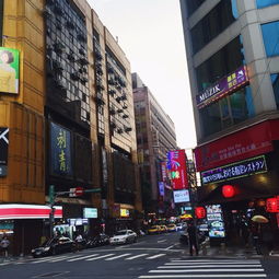 淡水双语艺术幼儿园：精英教育的起跑线？