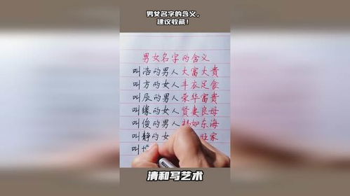 前 言——乱七八糟的开场白