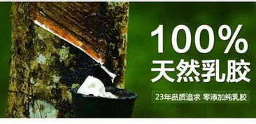 3. 未解之谜：信物、 咒语与噪音
