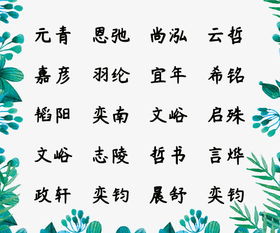 舆期姓氏的特殊性：稀有与传承