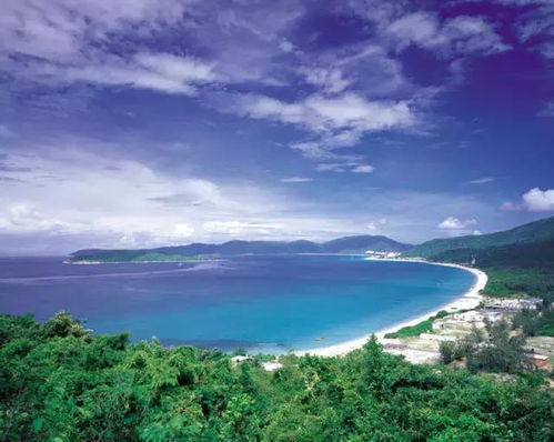 前海湾：被遗忘的海滨天堂？