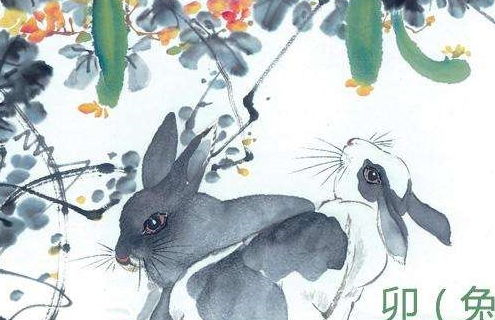 水肖的奥秘