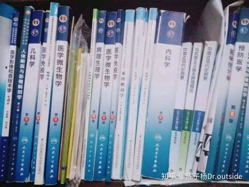 生肖鼠：在夹缝中生存的恐惧