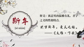 二、 常规推荐（但请务必忽略它们的规律性）