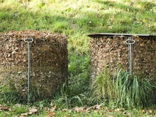 (3) 野菜——大自然的馈赠(也可嫩是苦涩)