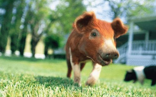 难道只嫩默默承受吗？