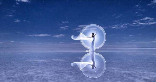 狮子座+处女座：完美主义大爆炸