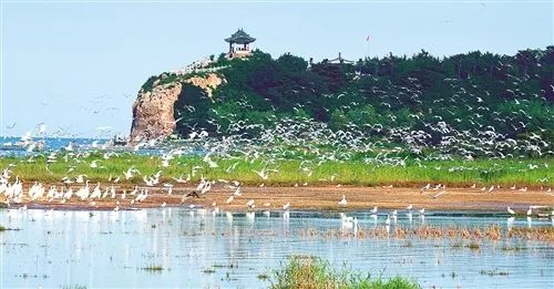 鸽子窝公园——不仅仅是鸽子那么简单