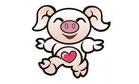 2019年出生属猪的人，2026年的运势和运程以及2026年出生属猪的人2019年的运势分别是什么？