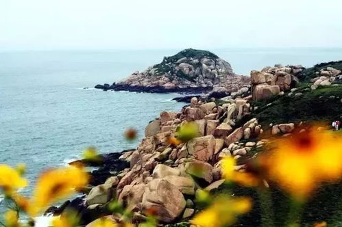 一、 初识缙洲岛：雾里看海