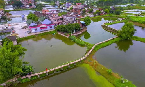 交通运输指南：怎样到达这一些著名的龙桥