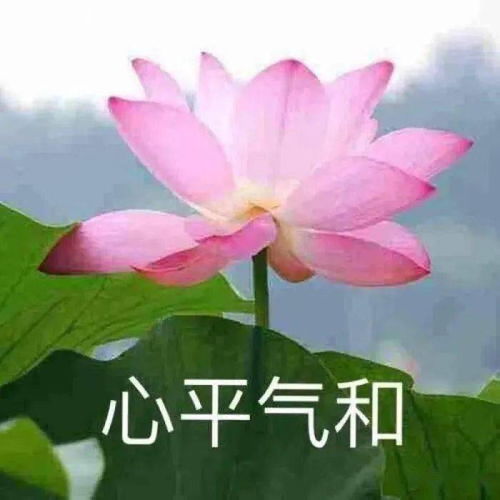 禁忌四：明星照扰桃花运