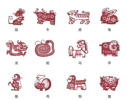 将转生肖和半夜三更四处转打一生肖分别指什么？