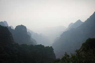 我的“惊喜”体验