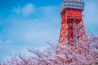 晚上去葫芦塔，差点没把我笑死