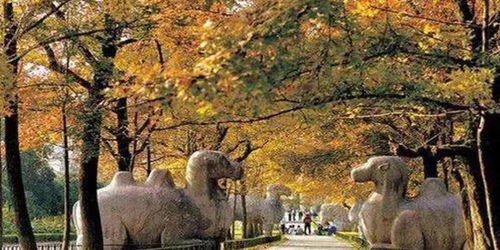牛首山和栖霞山：春花秋叶