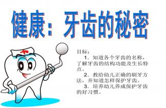 十二生肖中的奥秘