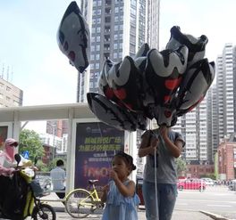 脚步声——在石板路上回响