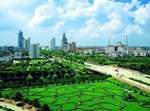 文雅传承的活力：从老一套到创新鲜的融合