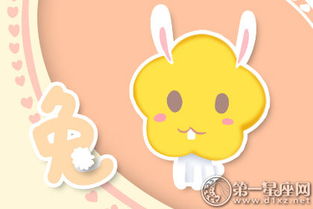 三、 属兔：温婉贤淑的“家务女王”