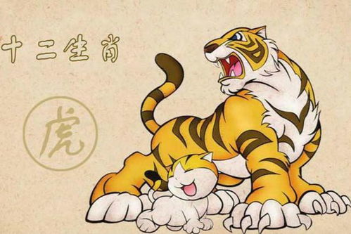 2023年属虎的人会犯太岁吗？运势怎样？