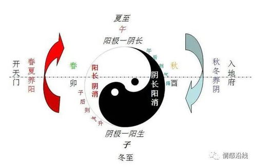 三毛八字命运变化规律如何影响其人生轨迹？