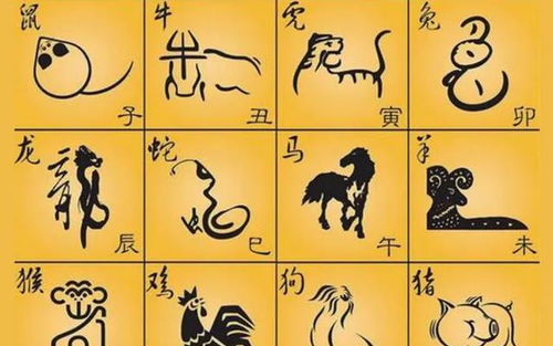 贵来方悟稀打一生肖，动物俗语大全具体包含哪些内容？