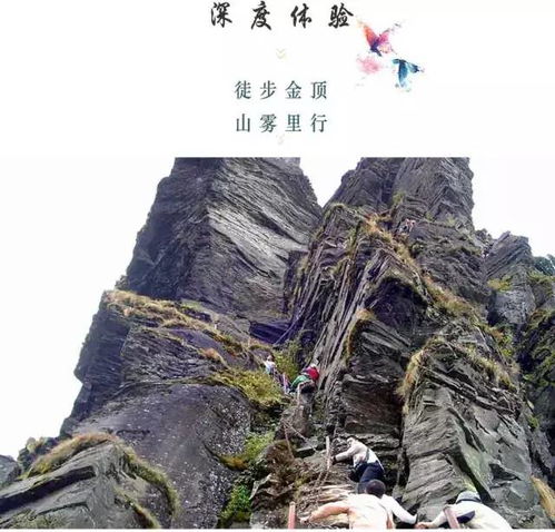 途中遇见的人物：奇葩与温暖并存