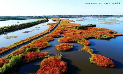 自驾游前的必备准备：别小看这些细节