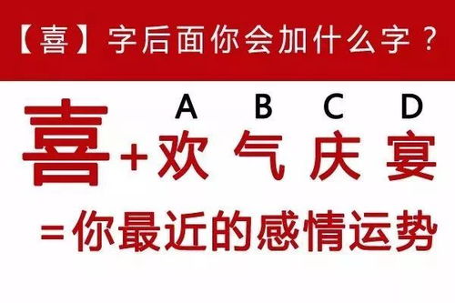 四、情感共振：为哪些有人会觉得部分组合更适合自己？